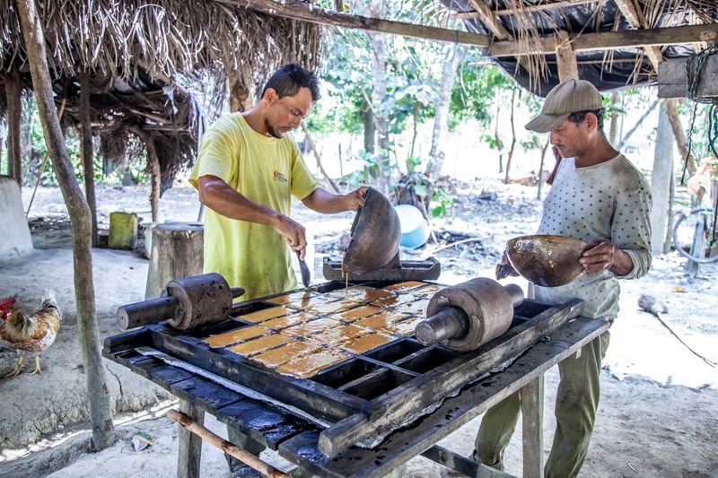 Elaboración artesanal de panela en Colombia